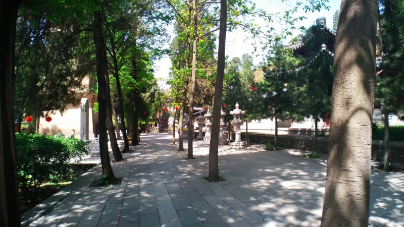 6c2faea6d383f8b0a84d3c6a732e72ba_1679445356_6013.jpg